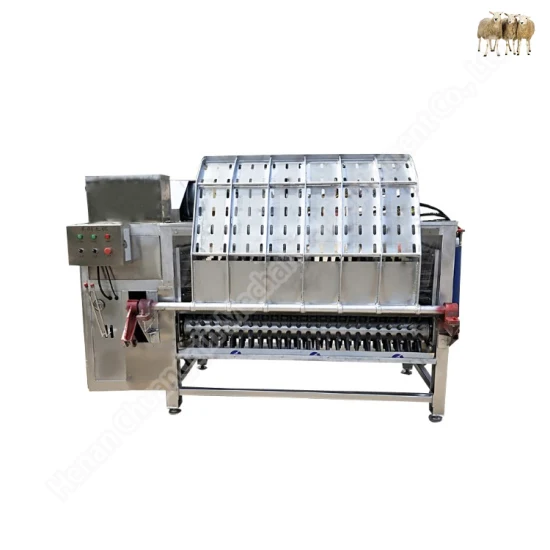 Cow and Goat Slaughter Machine Cow Feet Dehair Machine Cow Trotters Hair Removal Machine Pig Dehair Machine Pig Hair Removal Machine Sheep Hair Removal Machine